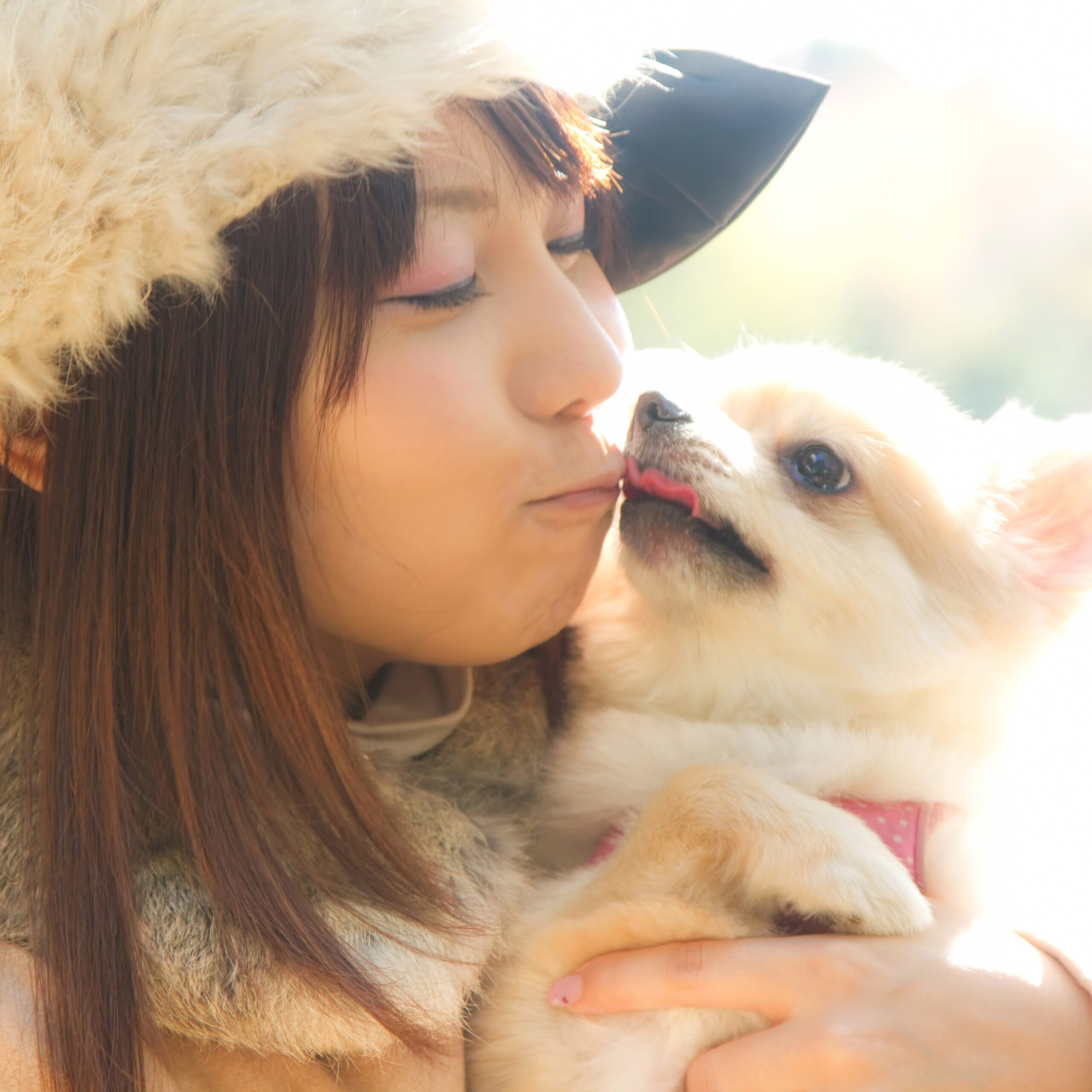 コムスペック_衣装の製作販売とわんこ・犬の健康生活応援サービス